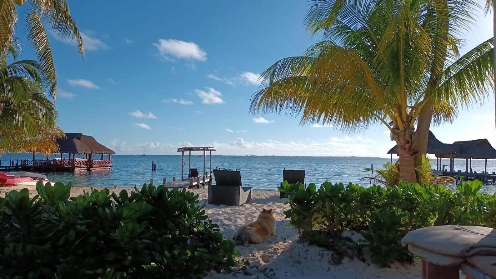 Cancun Private Apartment 0*,  Mexico